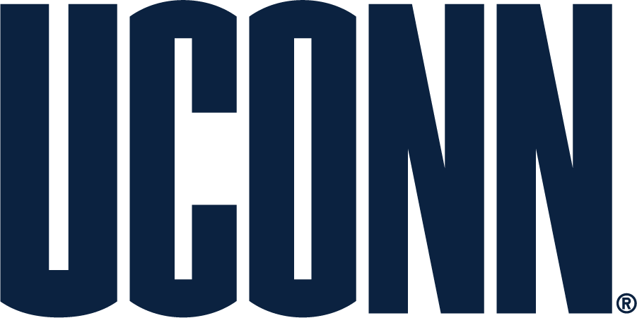 UConn Huskies 2010-2013 Secondary Logo v3 diy DTF decal sticker